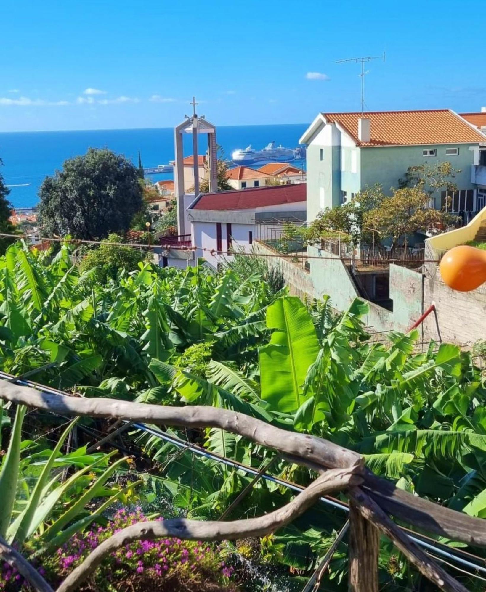 Villa Catanho フンシャル エクステリア 写真