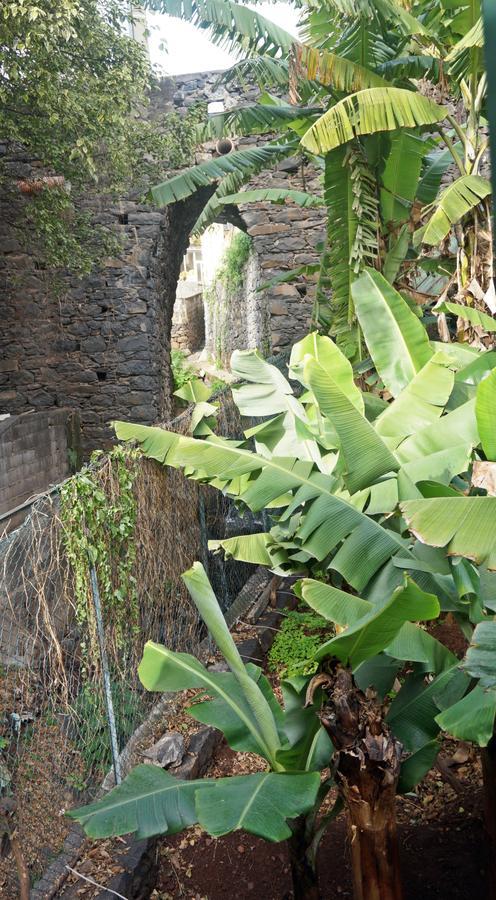 Villa Catanho フンシャル エクステリア 写真