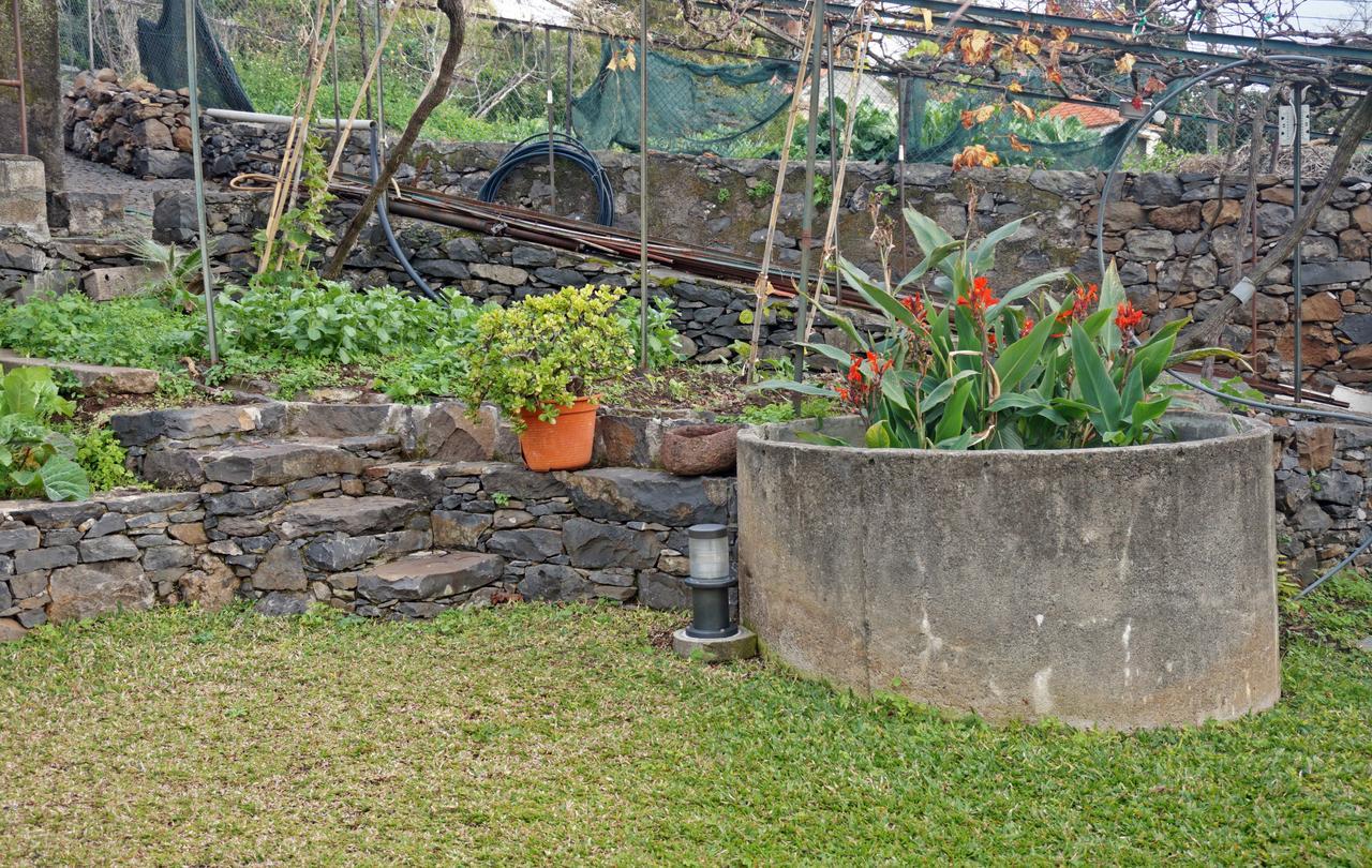 Villa Catanho フンシャル エクステリア 写真